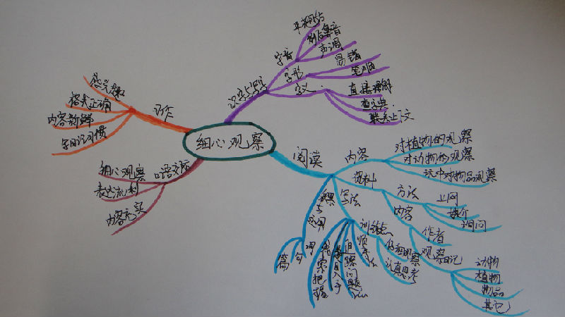 三年级上册语文思维导图怎么画